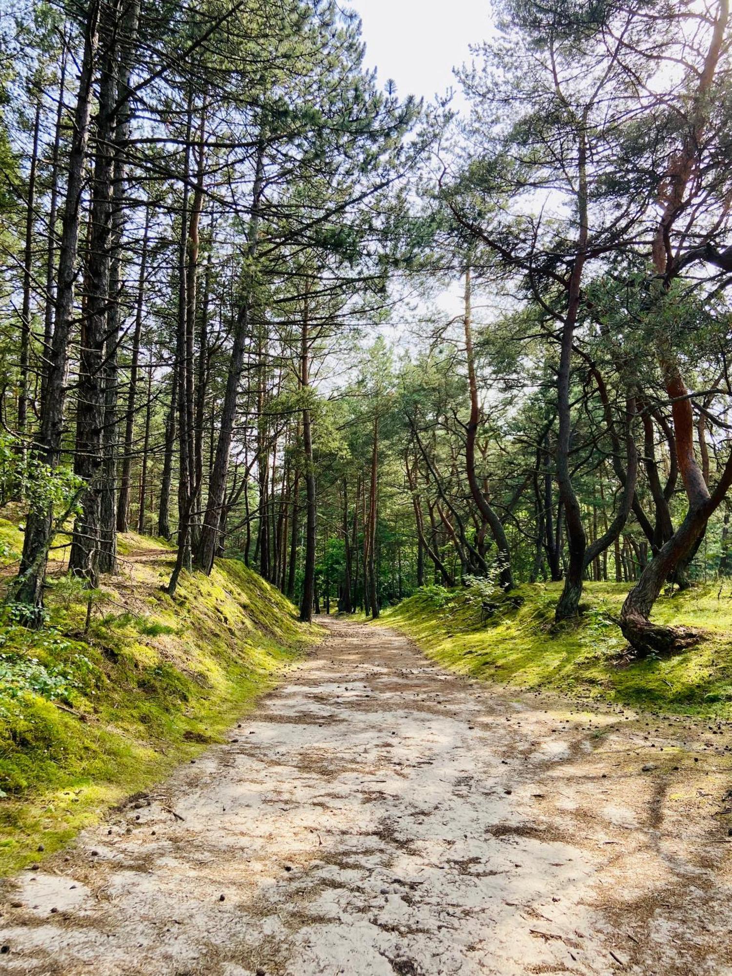 Villa Arkodes Гданьск Экстерьер фото
